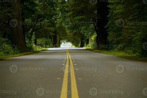 Forest Road View 24520697 Stock Photo at Vecteezy