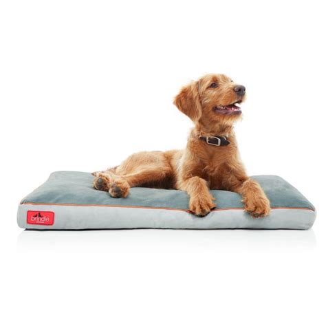 Shop Brindle Memory Foam Dog Bed with Removable Washable Cover - Free ...