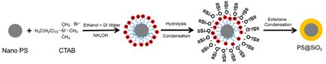 4. Schematic of the role of the CTAB surfactant on the formation of the... | Download Scientific ...