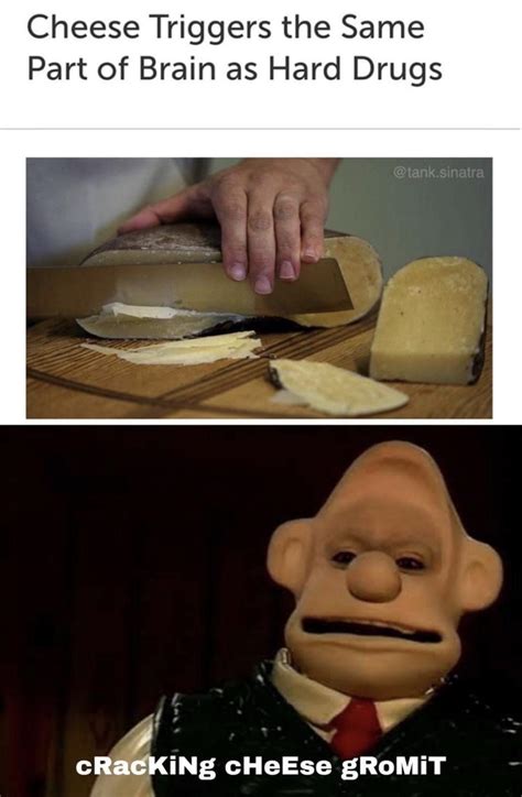 Cracking cheese Gromit : r/memes