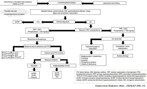 Fai strada disprezzare antenna metabolismo del calcio pdf loro azoto ...