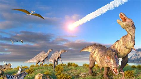 Birds Are the Last Living Dinosaurs And We Know Why They Survived