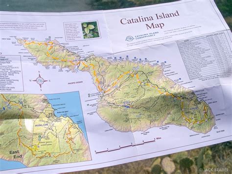 Catalina Island Map photo | Catalina, Island map, Catalina island