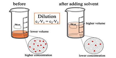 Dilution - Assignment Point