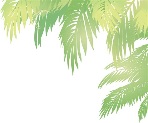 Palm Tree Leaf Vector Png - Goimages Coast