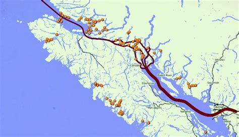 What is Killing BC’s Wild Salmon? | Cortes Currents