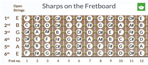 Basic Music Theory: Whole Step & Half Step + Sharps & Flats | Lessonface