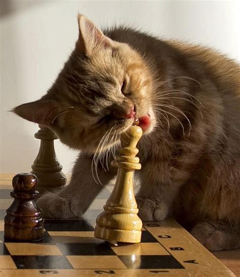 Life is like a game of chess. All the people in your life & those that will affect your life ...