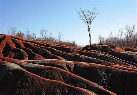 Exposed And Eroded Badlands Photograph by Debbie Oppermann | Fine Art America