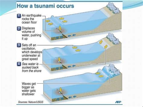 What Causes Tsunamis?