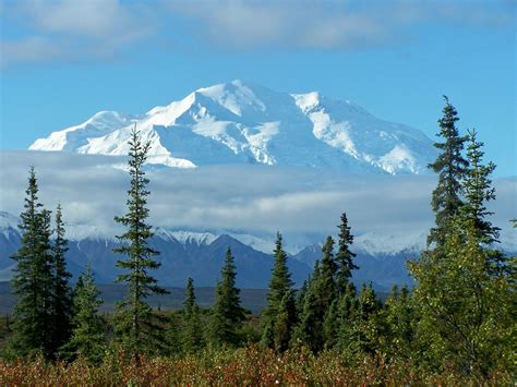 Mt. McKinley Great Places, Places Ive Been, Beautiful World, Beautiful ...