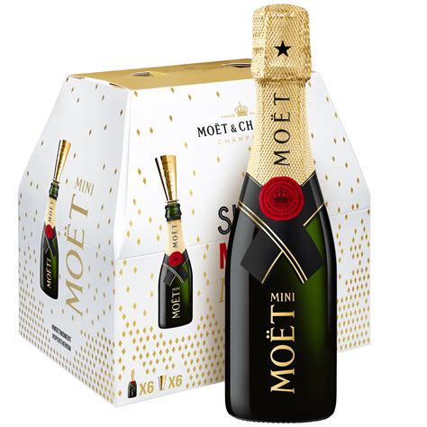 These Moët Mini Share Packs are PERFECT for heatwave picnics | Goss.ie