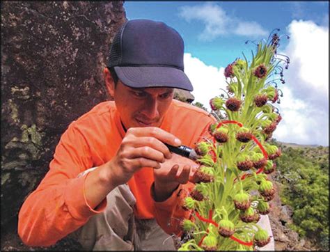 Plant Extinction Prevention Program: Lyman speaker to discuss mission to save Hawaii’s rarest ...