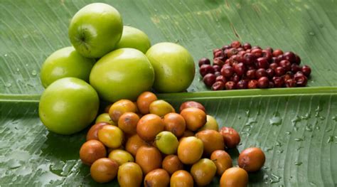 Eating Jujube (Ber) Fruit during Pregnancy - Vaya News