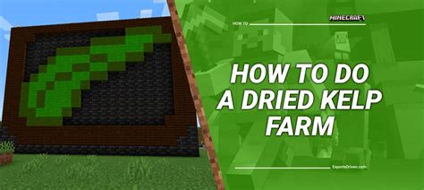 How to Build an Efficient Dried Kelp Farm