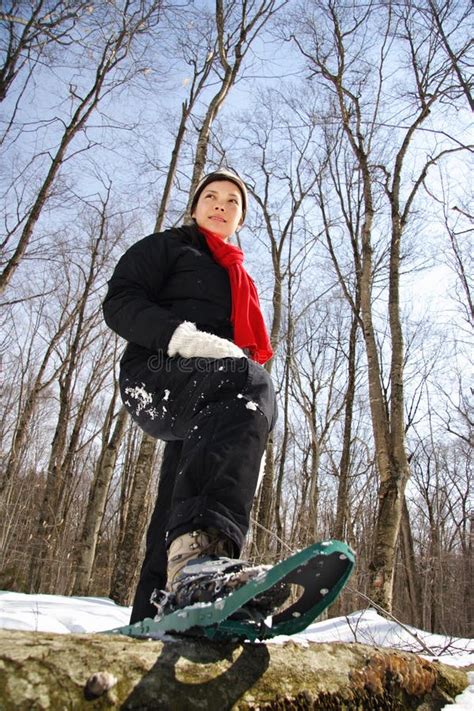 Snowshoe hiking stock photo. Image of beautiful, lifestyle - 10524652