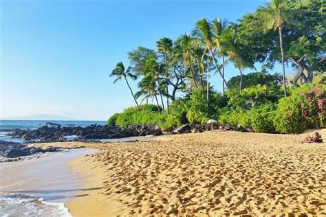 Path to hidden Makena Cove beach aka Secret Cove in Maui 🌴 Hawaii travel blog | Flashpacking ...