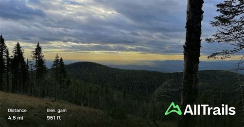 Mount Spokane Summit - Saddle Junction Trail: 436 foto - Washington ...