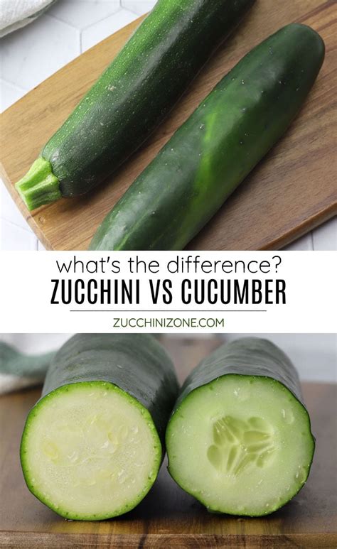 Zucchini vs Cucumber - What's the Difference? - Zucchini Zone