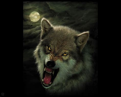 Alpha wolf protecting his teretory, angery, midnight, moon, wolves, HD ...