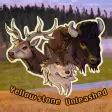 Coyote Yellowstone Unleashed สำหรับ ROBLOX - เกม ดาวน์โหลด
