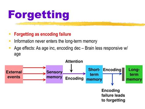 PPT - Retrieval Cues PowerPoint Presentation - ID:1109893