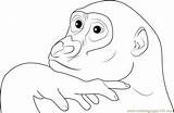 Gorilla Face Coloring Page For Kids  Free Printable sketch template