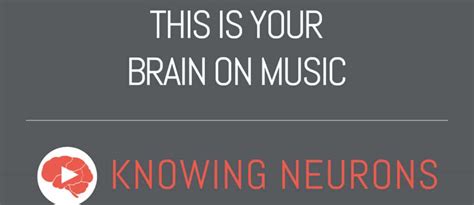 This is Your Brain on Music - Knowing Neurons