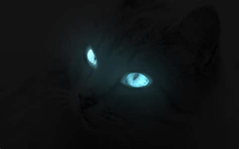 Glowing Cat Eyes by O-Chir on DeviantArt