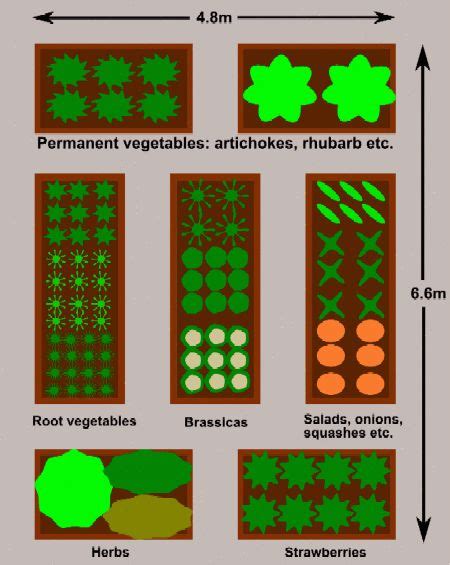 Winter Vegetables Gardening Guide | Vegetable garden raised beds, Garden layout vegetable ...