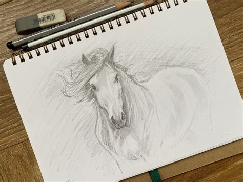 Original Pencil Sketch of Horse Pencil Sketch Horse Sketch - Etsy