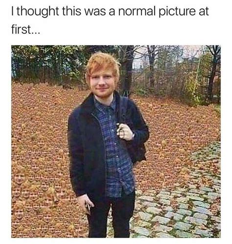 17 Ridiculous Ed Sheeran Memes To Get You Laughing Out Loud | Ed ...