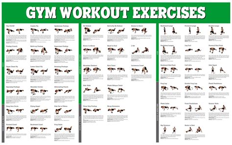 Gym Workout Chart, Circuit Workout, Dumbbell Workout, Daily Workout ...