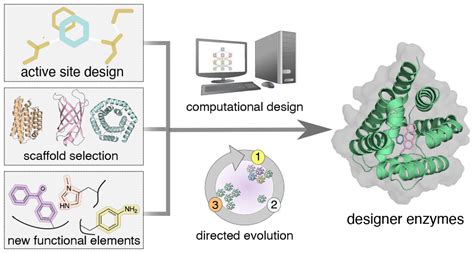 Designing Oligomeric Enzymes for Enhanced Stability - CD Biosynsis