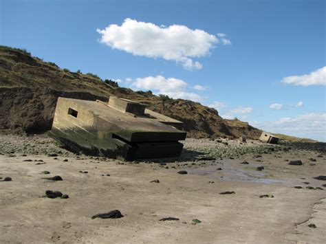 Warden Point (Isle of Sheppey) | Discovering Fossils