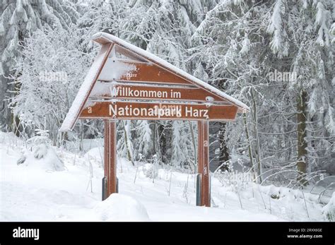 Winter in Harz National Park,Germany Stock Photo - Alamy