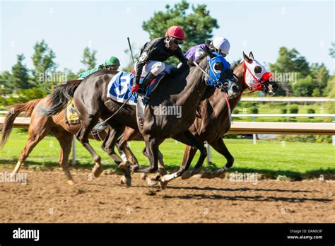 Canada,Ontario,Fort Erie, Fort Erie Race Track, horse race Stock Photo - Alamy