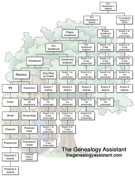 The Genealogy Assistant - Sherlock's Genealogical Adventures - Family Relationships in Polish