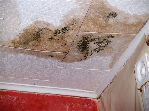 Common Causes of Water Stains on Ceiling & How to Fix Them - Homenish