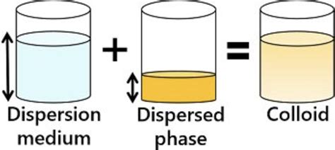 Colloid Mixture