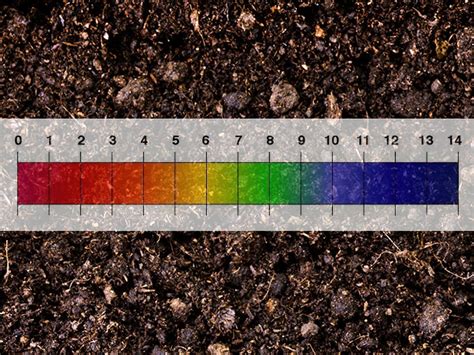 Soil Chemistry Fundamentals, Part 1 – Understanding Soil pH and How it ...