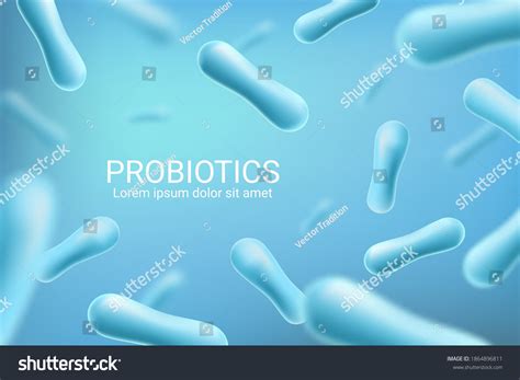 Probiotic Bacteria Lactobacillus Acidophilus Bifidobacterium Lactis Stock Vector (Royalty Free ...