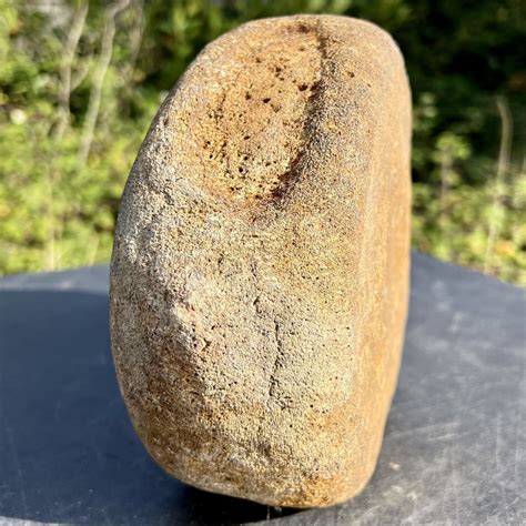 Whale Vertebrae, Pliocene, Suffolk, UK - All of our Fossils are 100% Genuine Specimens & come ...