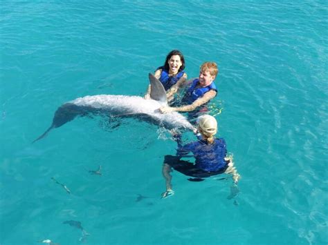 Dolphin Swim Hawaii Oahu Island (800) 667-5524