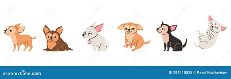 Cartoon Set of Chihuahua Purebred Breed Furry Dog, Cute Little Light, Brown and Black Pet Vector ...