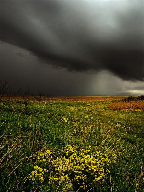 Dreary Days Photograph by Phil Koch - Fine Art America