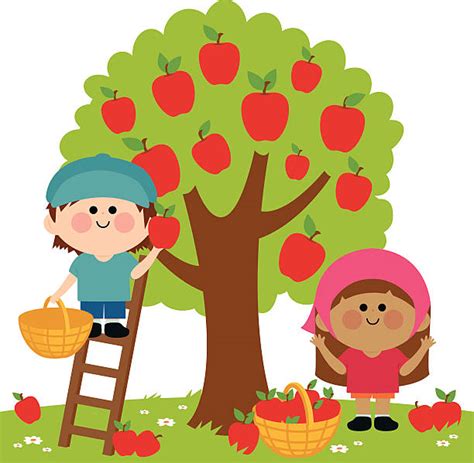 Apple Picking Images Clip Art, Vector Images & Illustrations - iStock