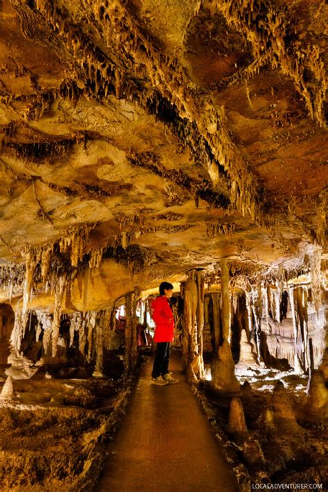 Lehman Caves Tours Great Basin National Park - What You Need to Know