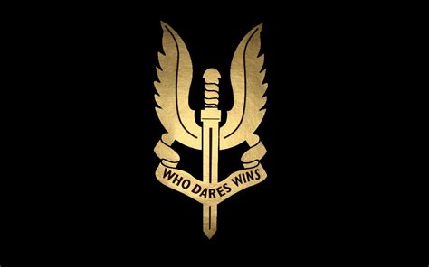 Army Special Forces Logo Wallpaper