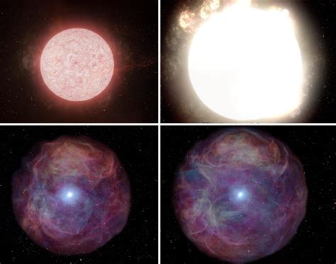 VIDEO: Astronomers Watch Red Supergiant 10X Bigger Than Our Sun Explode in Real Time for First ...